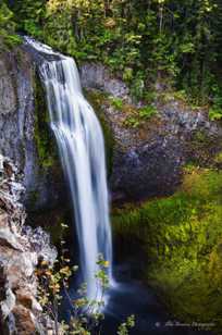 Salt Creek Falls-3668